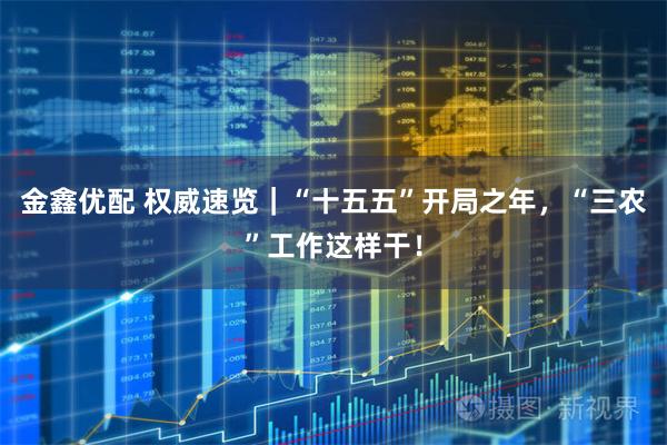 金鑫优配 权威速览｜“十五五”开局之年，“三农”工作这样干！