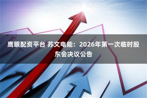 鹰眼配资平台 苏文电能：2026年第一次临时股东会决议公告